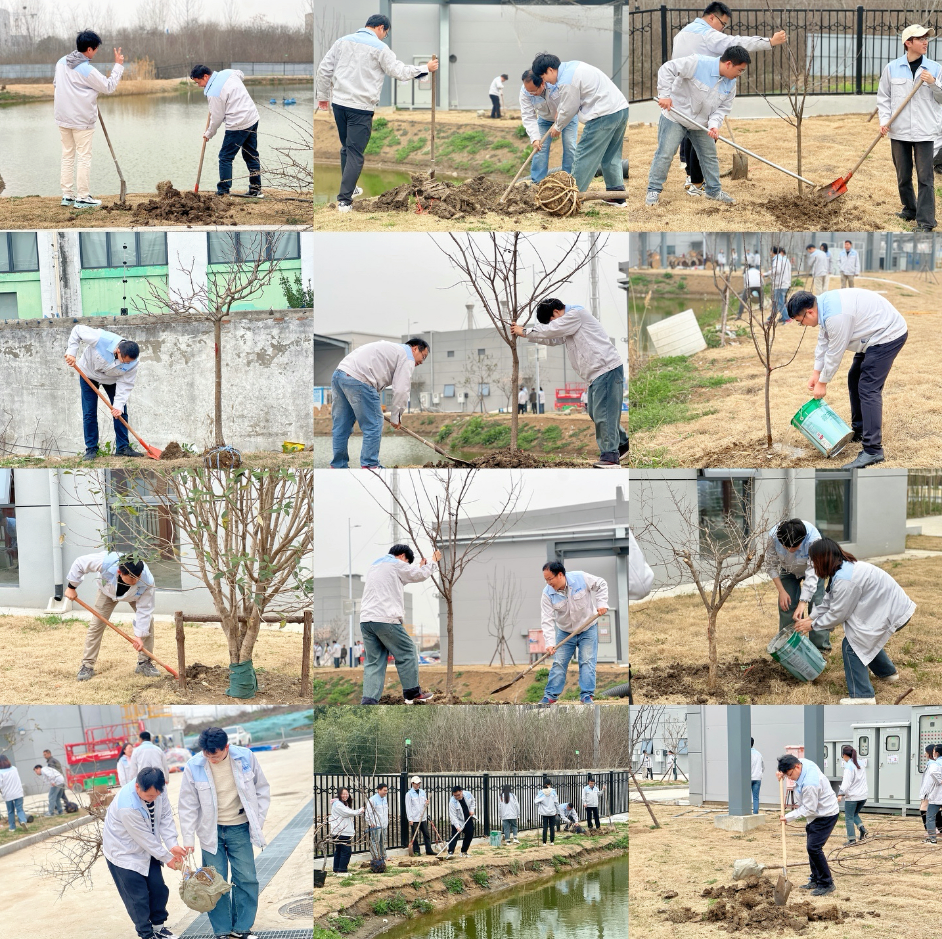 春風(fēng)十里，正植有你|安徽芯視佳開展植樹節(jié)活動
