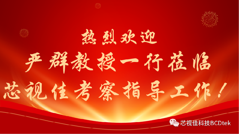 嚴群教授一行蒞臨深圳市芯視佳半導體科技有限公司考察并指導工作！