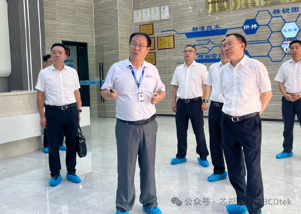 四川省政府副省長、德陽市委書記李文清一行蒞臨安徽芯視佳考察指導工作